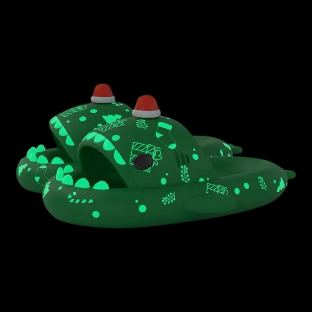 Green slipper christmas gift nice